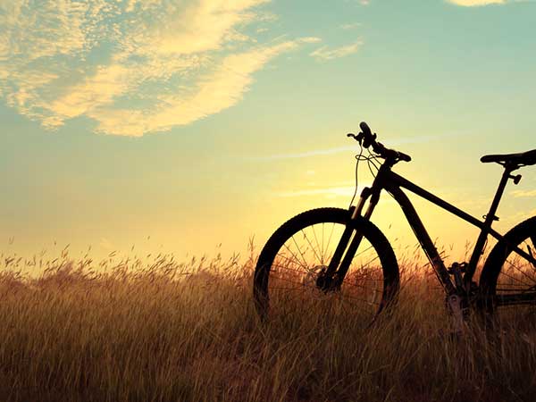Bicycle in a field at sunset